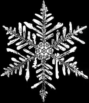snowflake.jpg