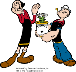 Olive Oyl Pics