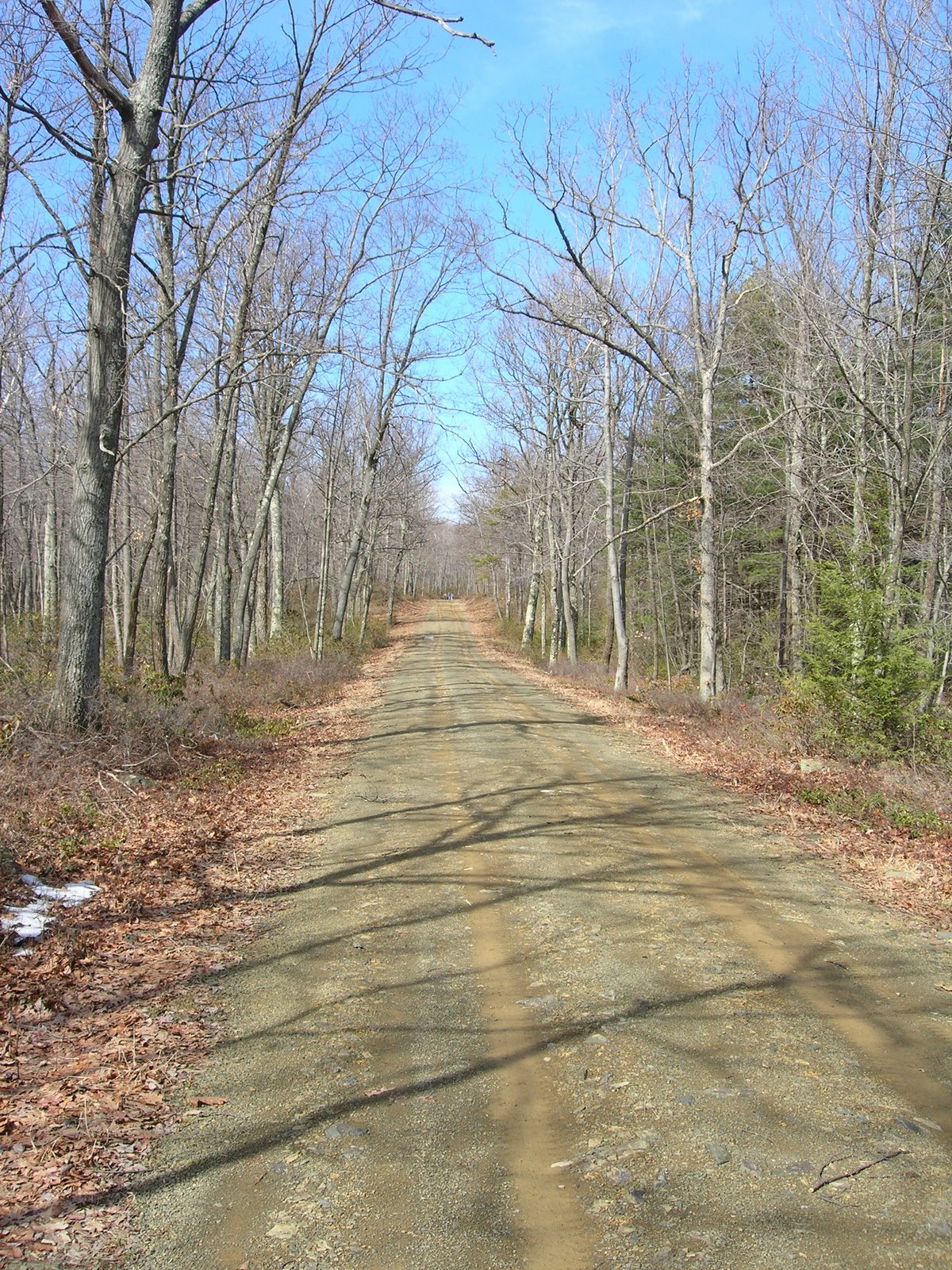 [DSCN0841.JPG]