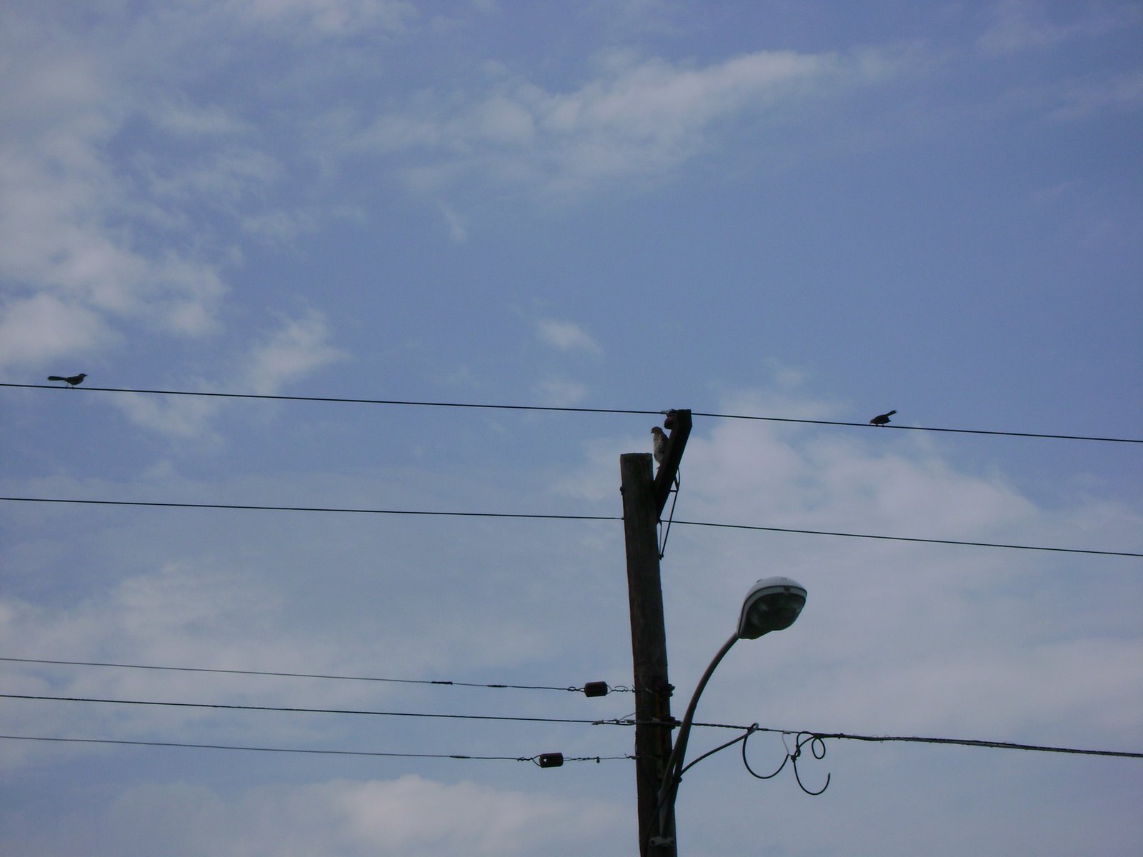 [August+2008+008.jpg]