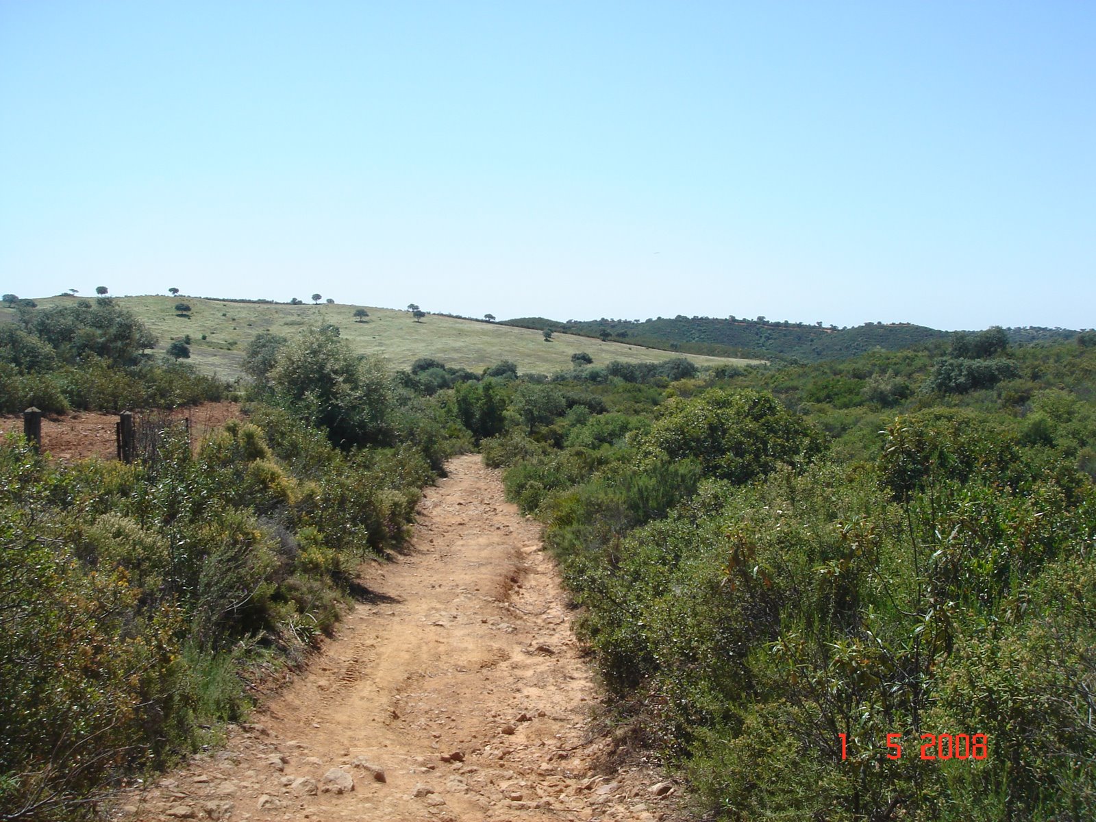 [DSC03583.JPG]