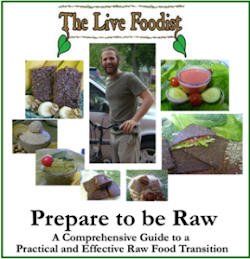 Raw Food Transition E-Book