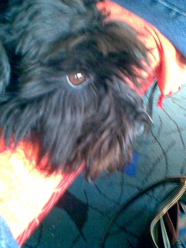 [2008+mobilbilder+002.jpg]