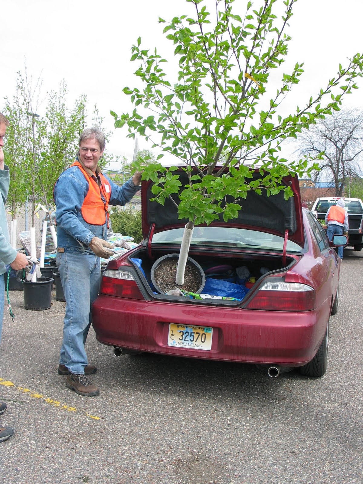 Tree Trust News and Stories Celebrate Earth Day's birthday with trees