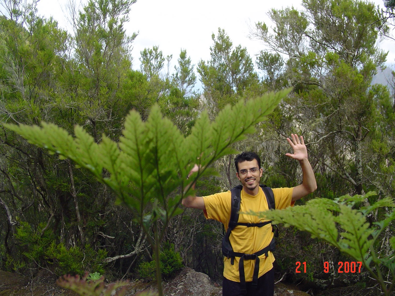 [DSC01994.JPG]
