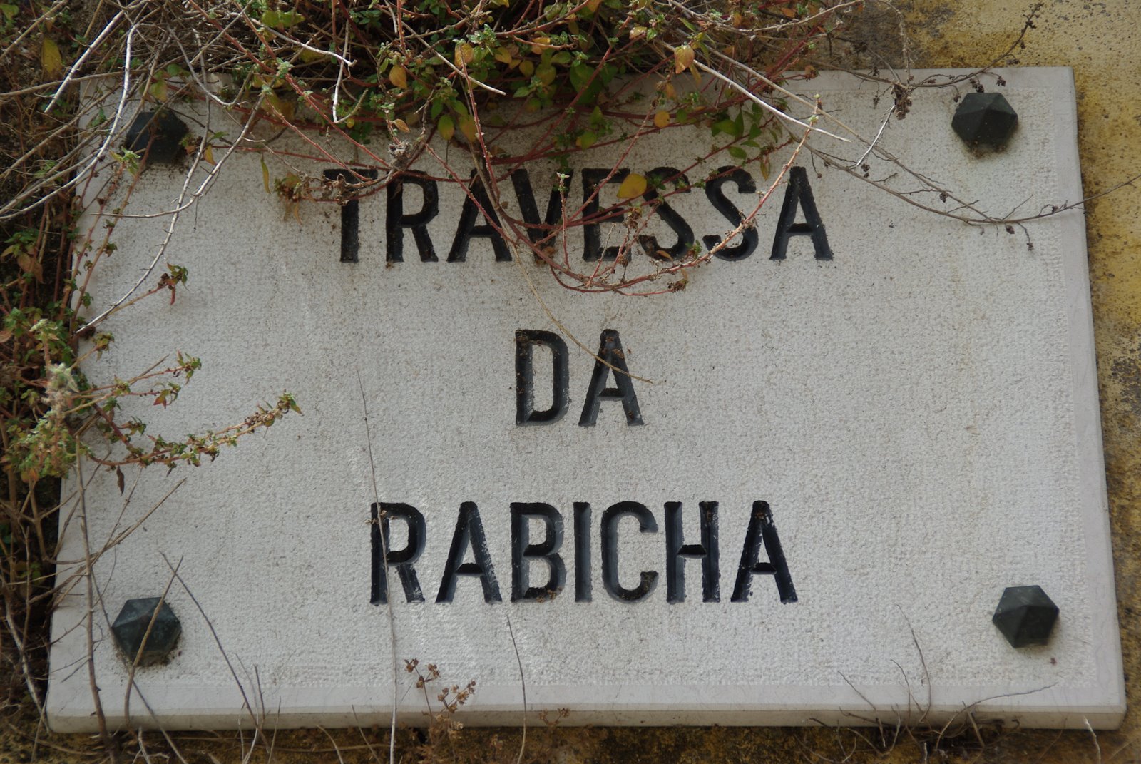 [Lisboa_23Junho2009.JPG]