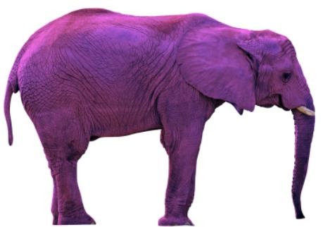 Don’t call me weird…I’m “quirky and eccentric”: Don’t think of an