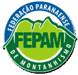 FEPAM