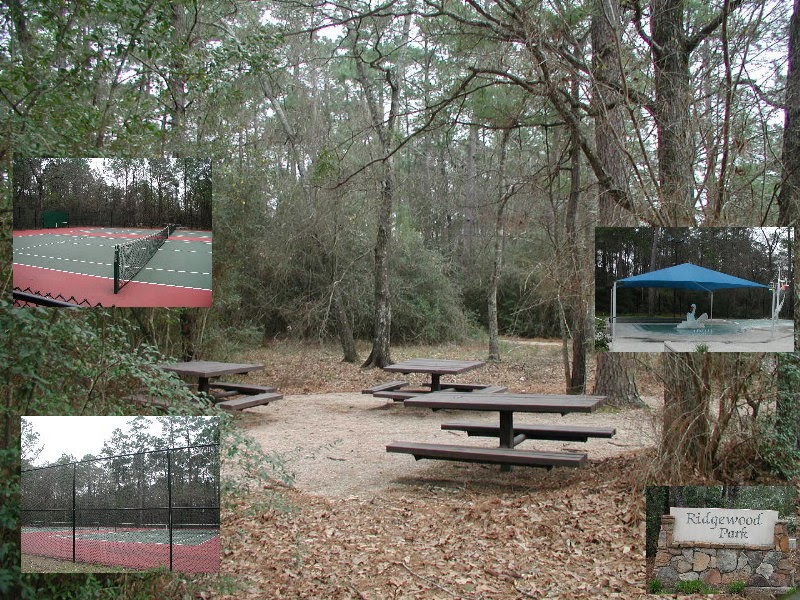 The Woodlands Texas Parks Ridgewood Park, The Woodlands Texas