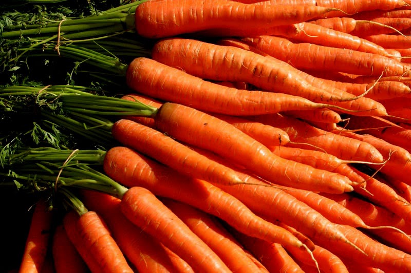 Fanatic Cook Carrots For The Colon