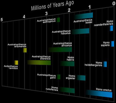 Filogenia Humana human phylogeny Filogenia Humana human phylogeny