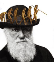 Darwin Evolução Humana Human evolution