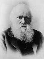 Darwin - Predictions