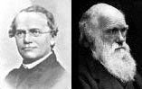 Mendel versus Darwin