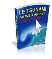 Le Tsunami Du Web Arrive