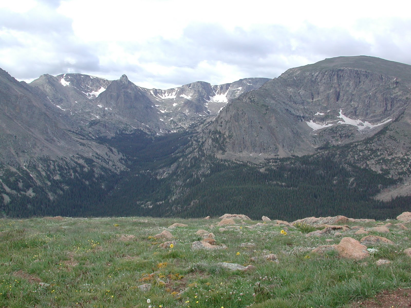 Alpine Tundra