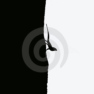 [dreamstimecomlagarto.jpg]