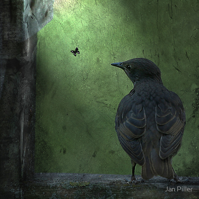 [2929533-3-wishful-thinking.jpg]