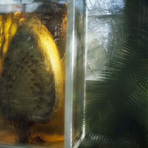 [image_large-2.jpeg]