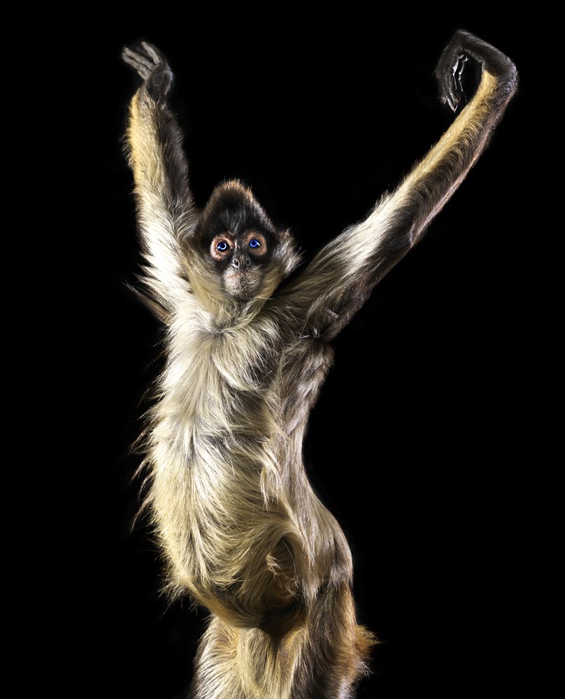 [securedownload-6.jpeg]