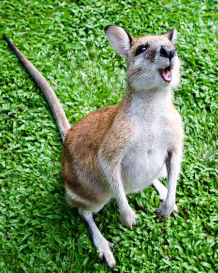 [securedownload-16.jpeg]