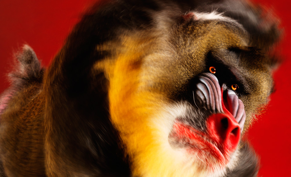 [securedownload-8.jpeg]