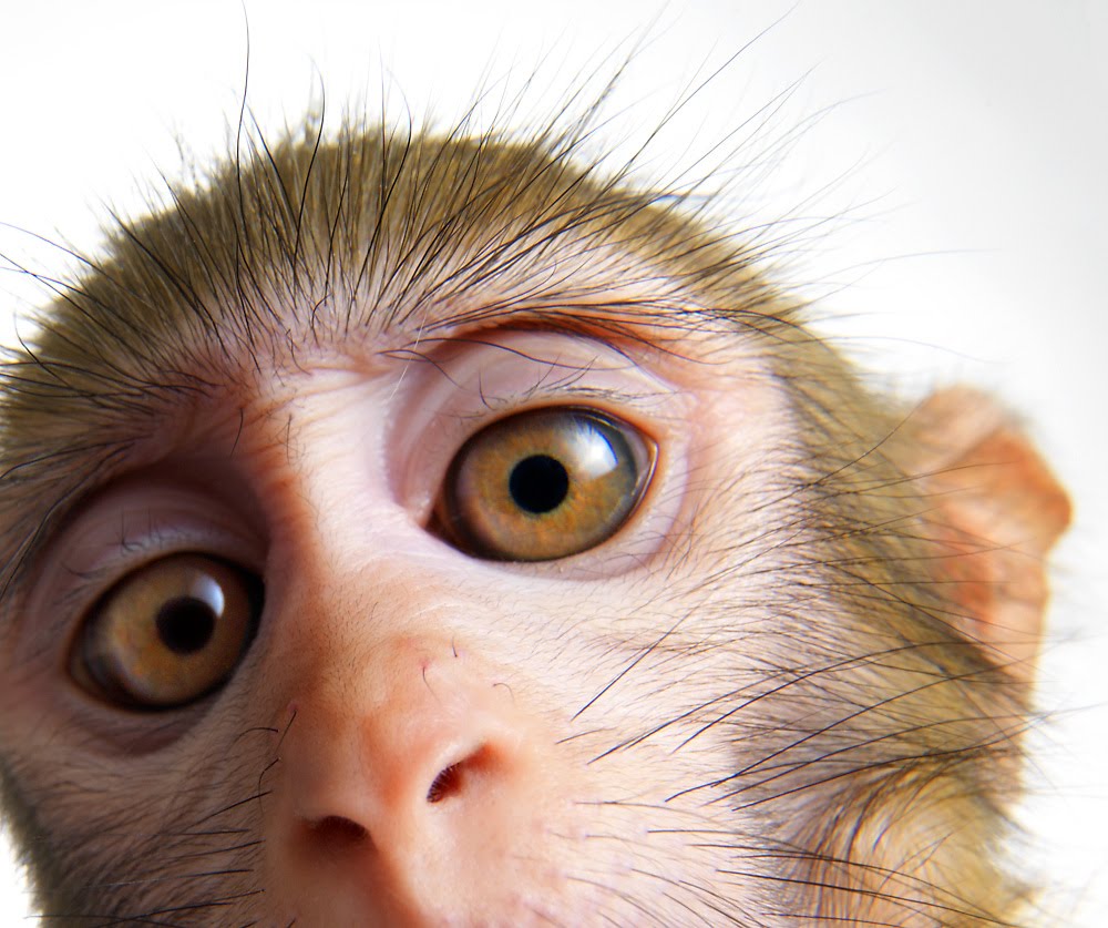 [securedownload-14.jpeg]