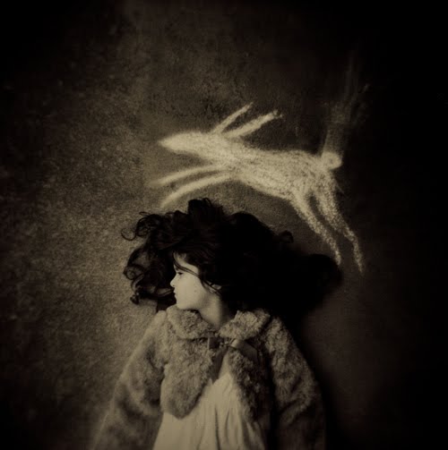 [rabbit+on+the+brainsmall.jpg]