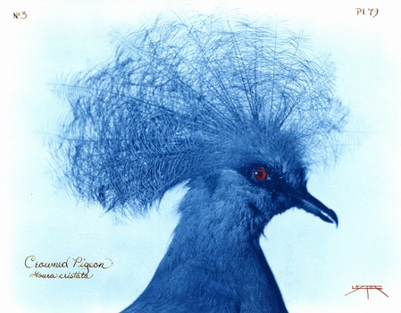 [32870_mediumlarger.jpg]