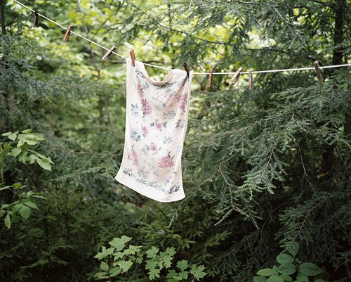 [shanelavalette_whoknows06.jpg]