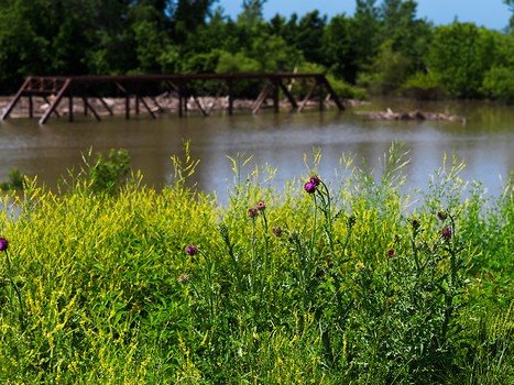 [64249_mediumlarger.jpg]