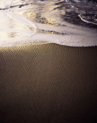 [035enlargement.jpg]