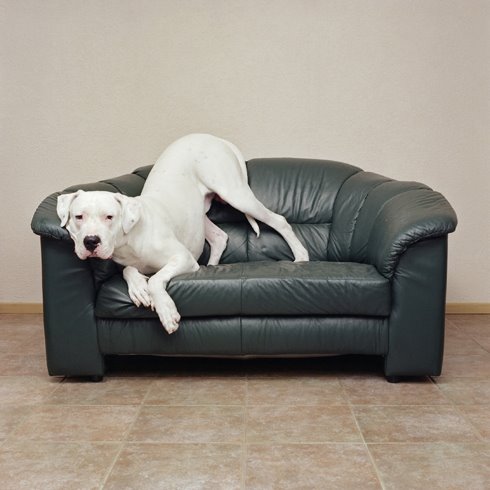 [Diego_2002_1.4.jpg]