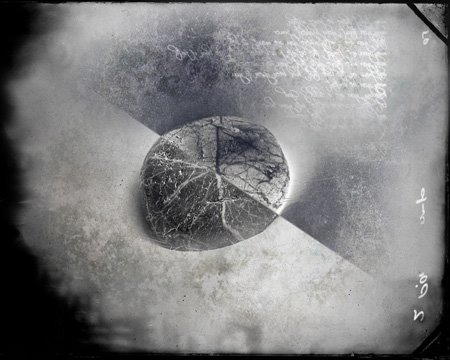 [vs05_BranchesOfTheSameTree.jpg]