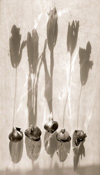 [91098_mediumlarger.jpg]