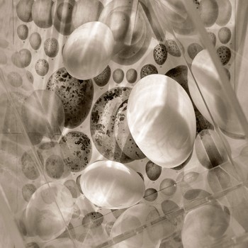 [91094_mediumlarger.jpg]