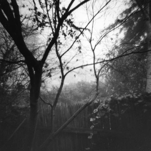 [BethKientzle+Untitled+(fence).jpg]