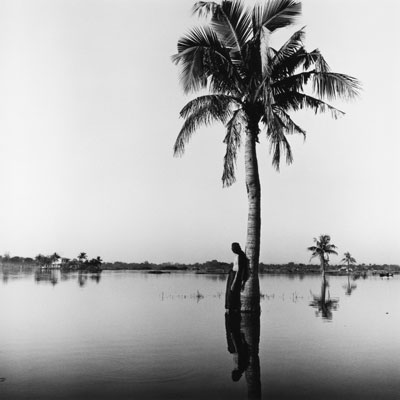 [04.06-Evening-Palm.jpg]