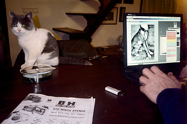 [JavierIzquierdoDear022.jpg]