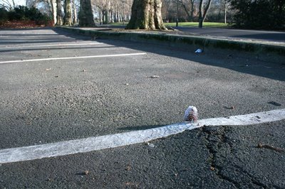 [Wonderland+2+blog.jpg]