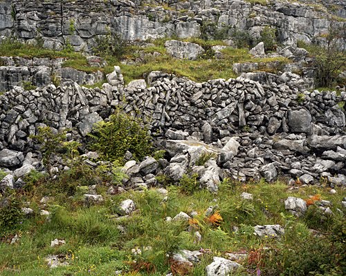 [shanelavalette_slinaboirne03.jpg]