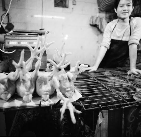 [ChickenStall_9751_7.jpg]