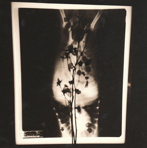 [Seeing+Through.jpg]