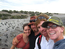 Penguin Colonies