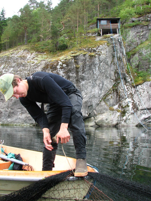 Eirik adding weights to the net