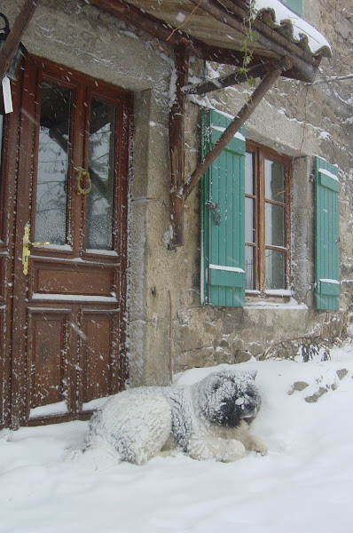 En attendant mes maîtres