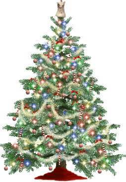 MoMod PedUrUngAn: Christmas Tree