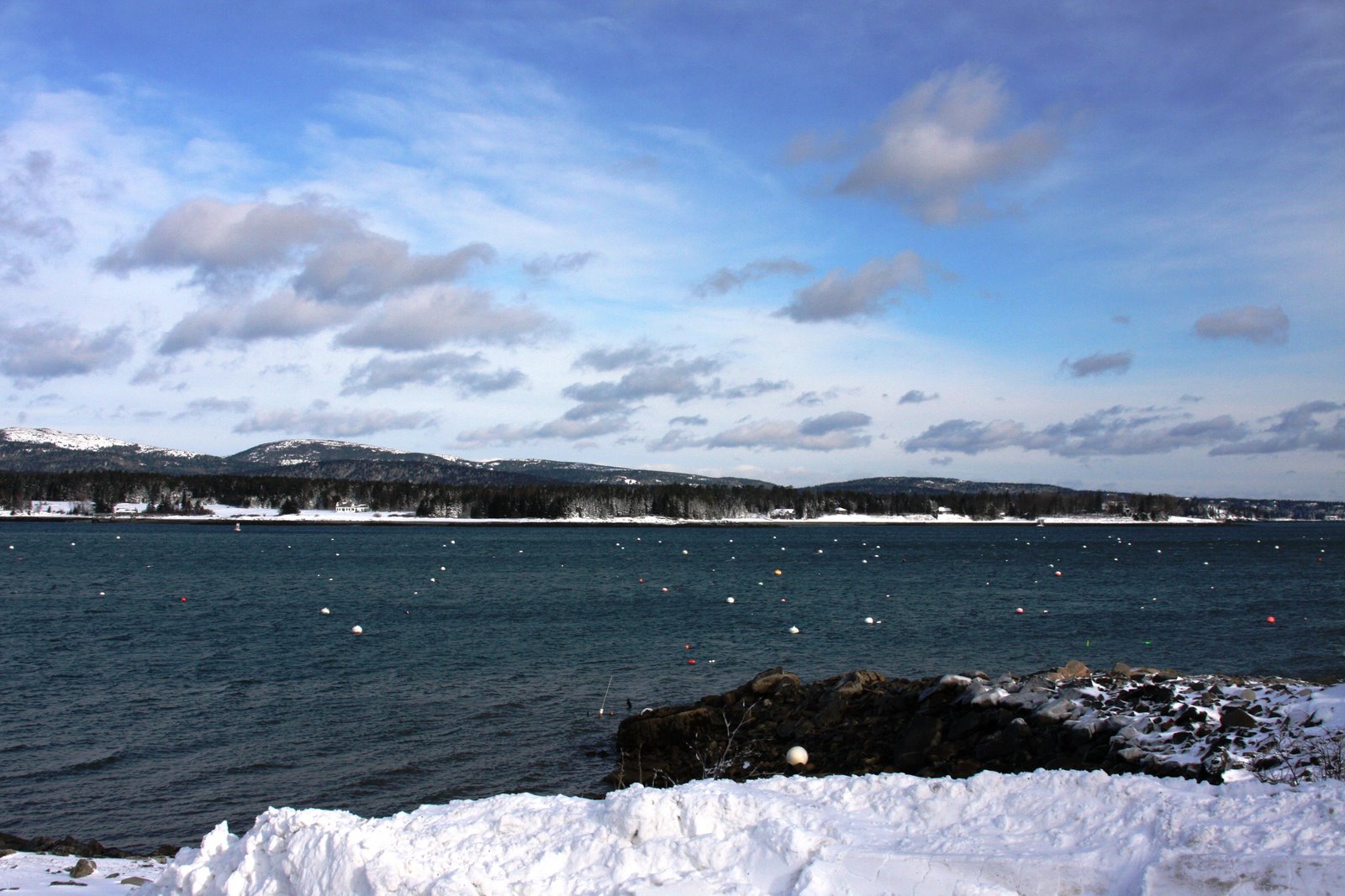 [IMG_9002.JPG]