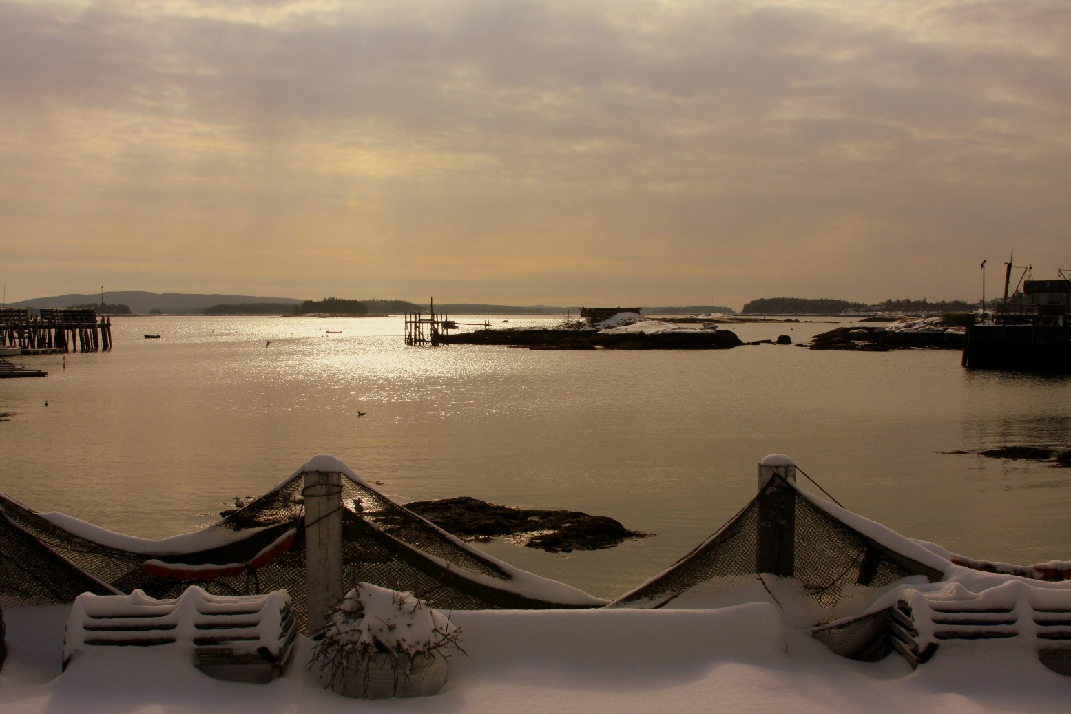 [IMG_0137.JPG]