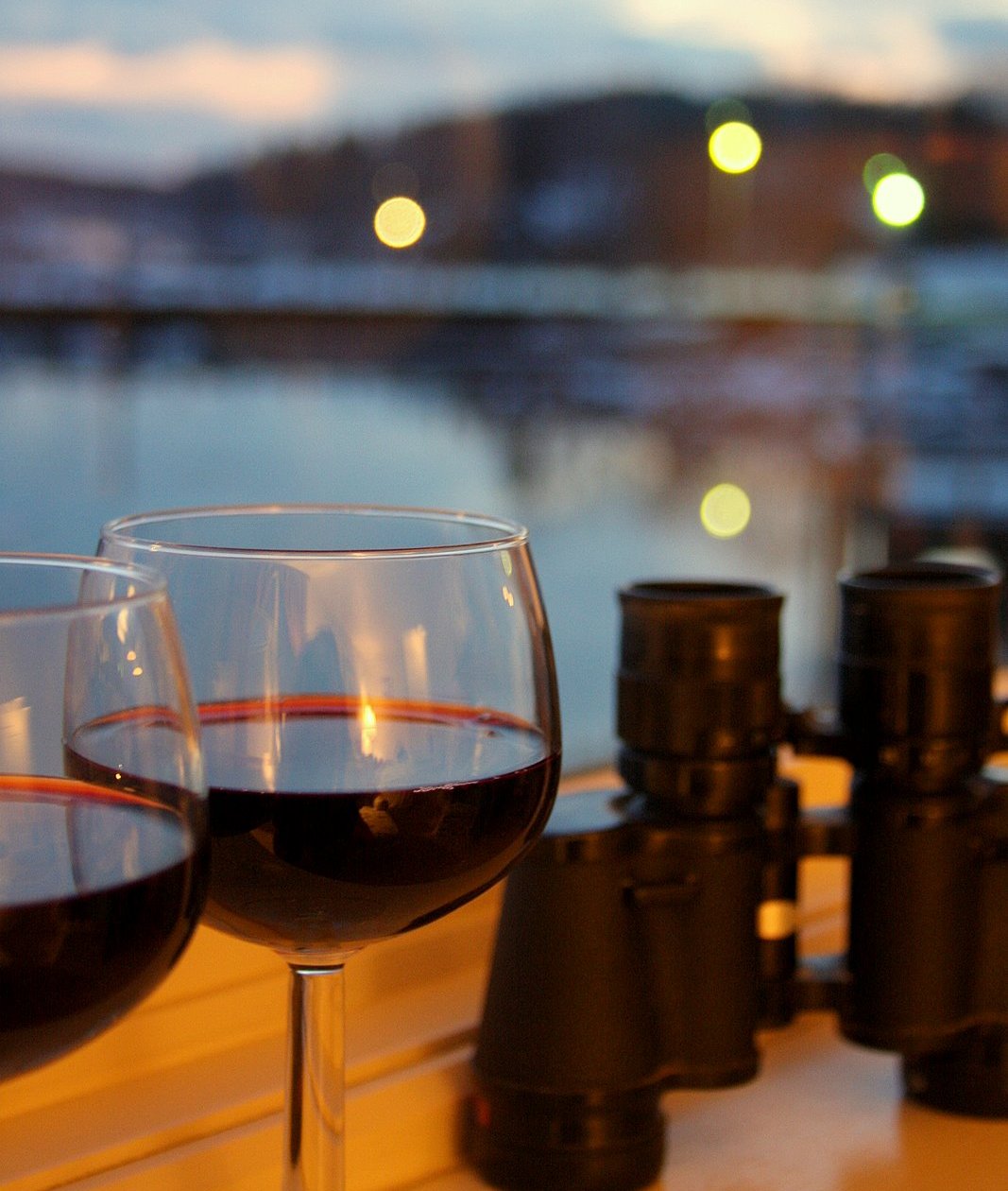 [wine+and+view.JPG]